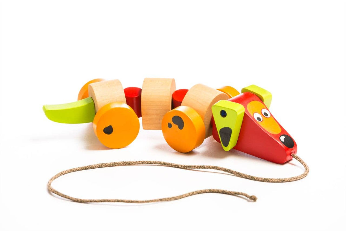 Wise Elk/Cubika Wooden Push&Pull Toy - Walk-A-Long Fish