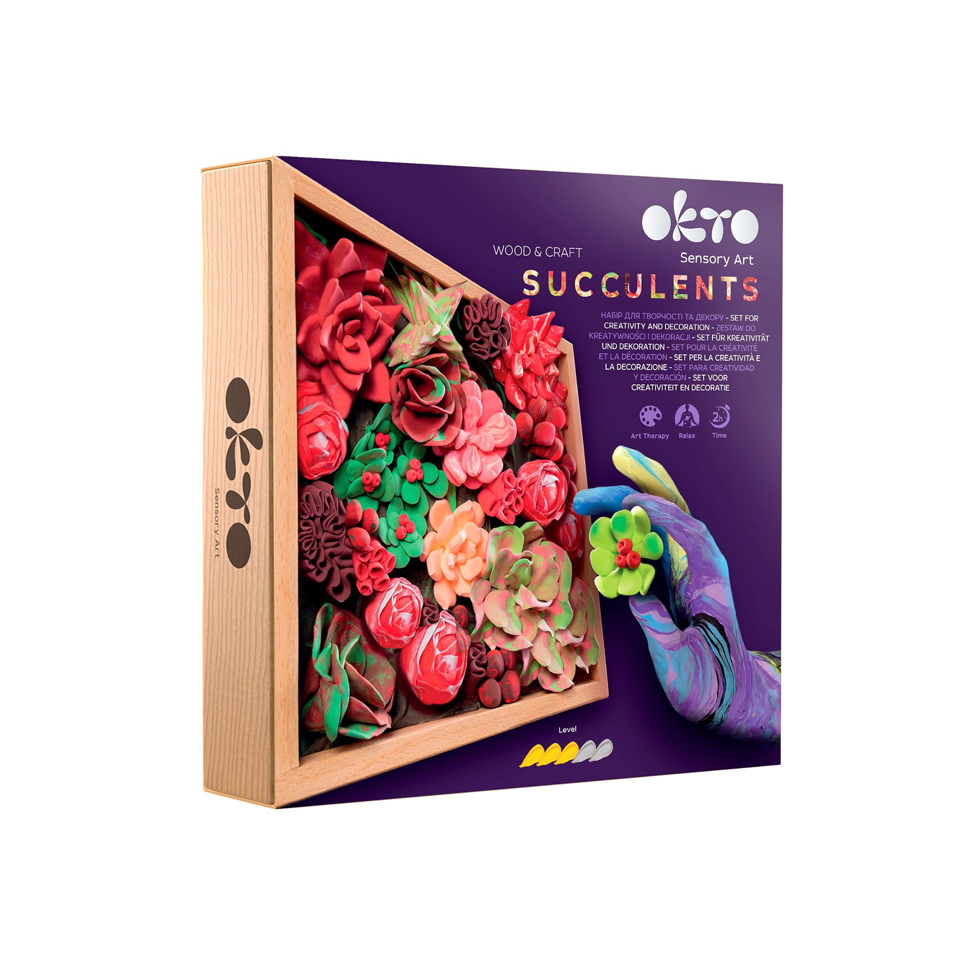 succulent craft kit Passion Succulents Sensory Art