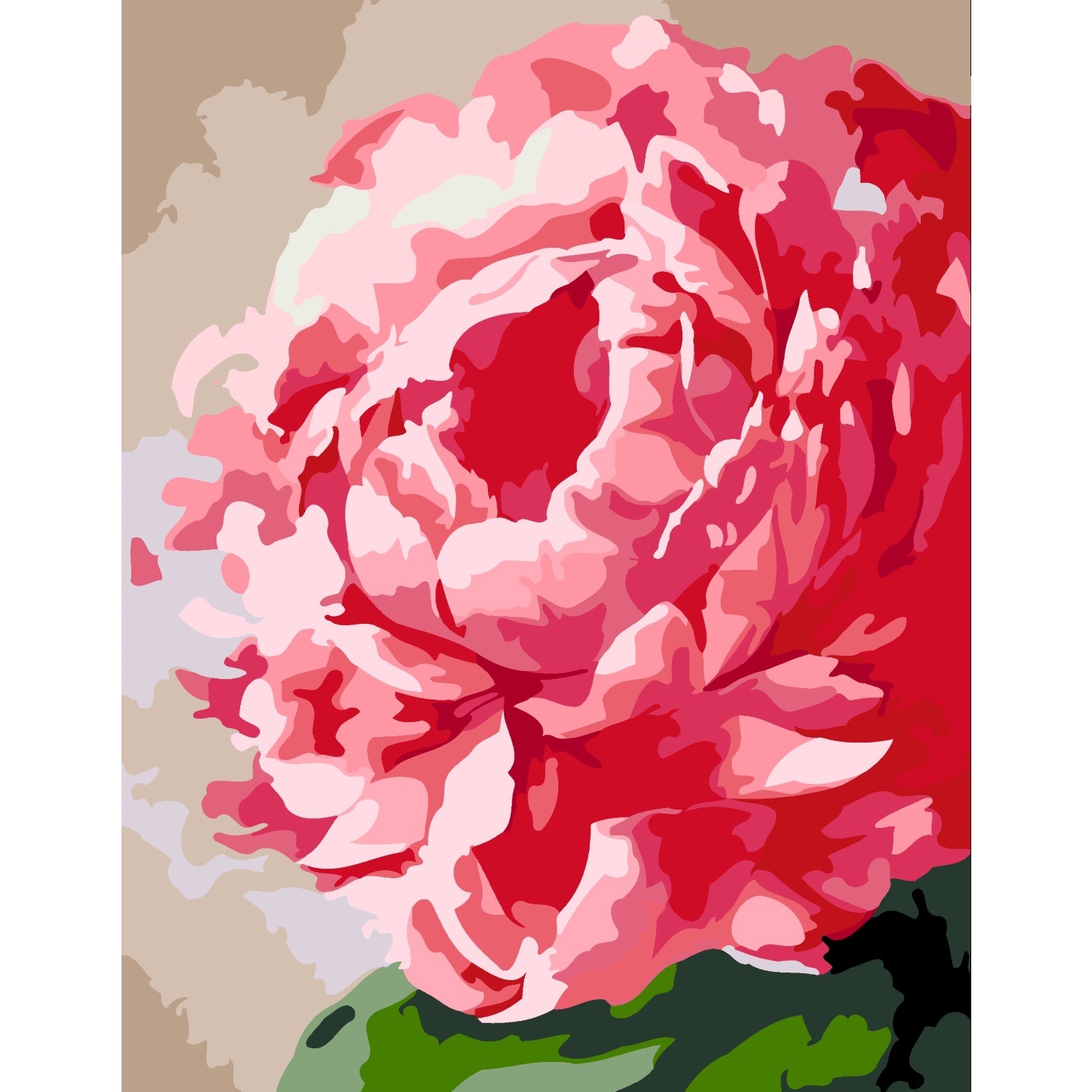 Peony Flower